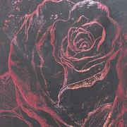 Blackredrose_card