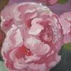 Peony_thumb