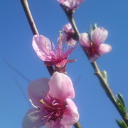 Dsc04926-001_card