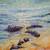 Rocas_tiny_square