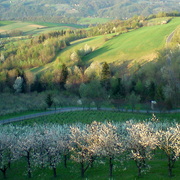 Dsc04944-001_card