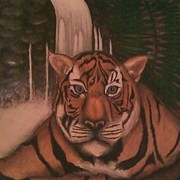 Tigerfalls__2__card