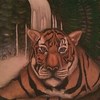 Tigerfalls__2__thumb