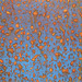 Fol_80x80_2012_wendel_square
