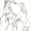 Equestrianlove_thumb