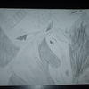 Art_005_thumb