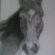 Tonyas_horse_card