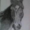 Tonyas_horse_thumb
