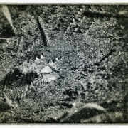 Swampthing_snapseed_card