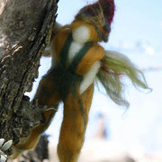 Img_7817_card