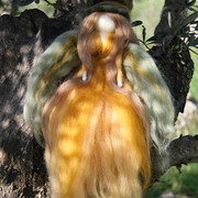 Img_7914_card