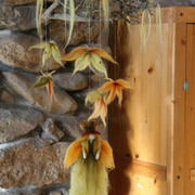 Img_8429_card