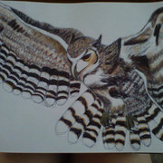 Great_horned_owl_card
