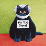 Do-not-feed_low-res_-copy_card