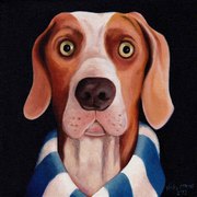 Dog_watching_football_on_telly_copy_card