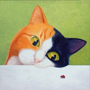 Cat_with_ladybird_copy_card