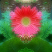 100_20892_card