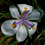 Dsc05937_card