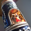 Stien_thumb