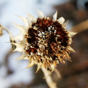 Img_0528_card