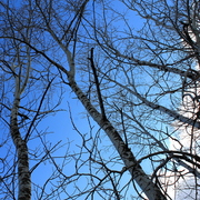 Img_2404_card