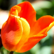 Img_4803_card