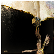 Nebra_disk_variant_card