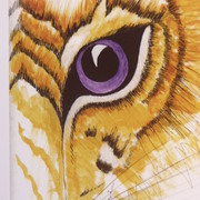 Eye_of_tiger__inked__card