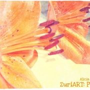 001_card