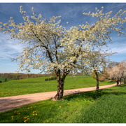Img_8601_03_3mix_015_1000_card