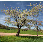 Img_8641_3mix_015_s_1000_card