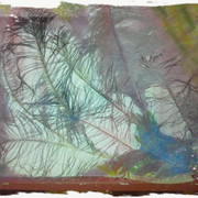 20042012339-001_card
