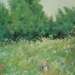 Dsc01457_square