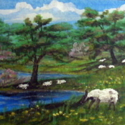 90210_spring_hill_place_card