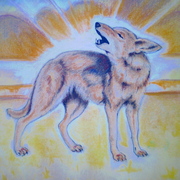 P9140038_card
