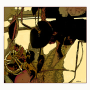Begonias_shadows_card