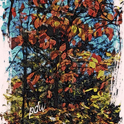 Yellow__red_and_blue_card