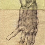 Studio_mano_from_g