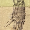 Studio_mano_from_g