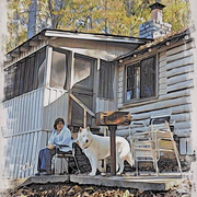 Cabin_card