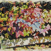 Triangle_shapes_card
