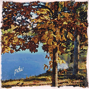 Lake_card