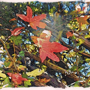 God_s_paintbrush_card