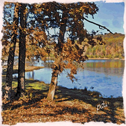 Lake_2_card