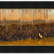 Mussel_wall-f_card