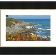 Pacific_grove_spring__2-f_card