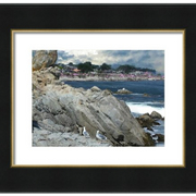 Pacific_grove_spring__1_card