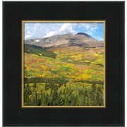 Montana_vista-f_card