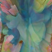 005__1__copy_2_card