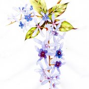 Img001_card